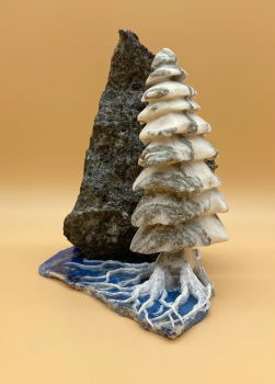 Binntree am Stein von Saporischschja